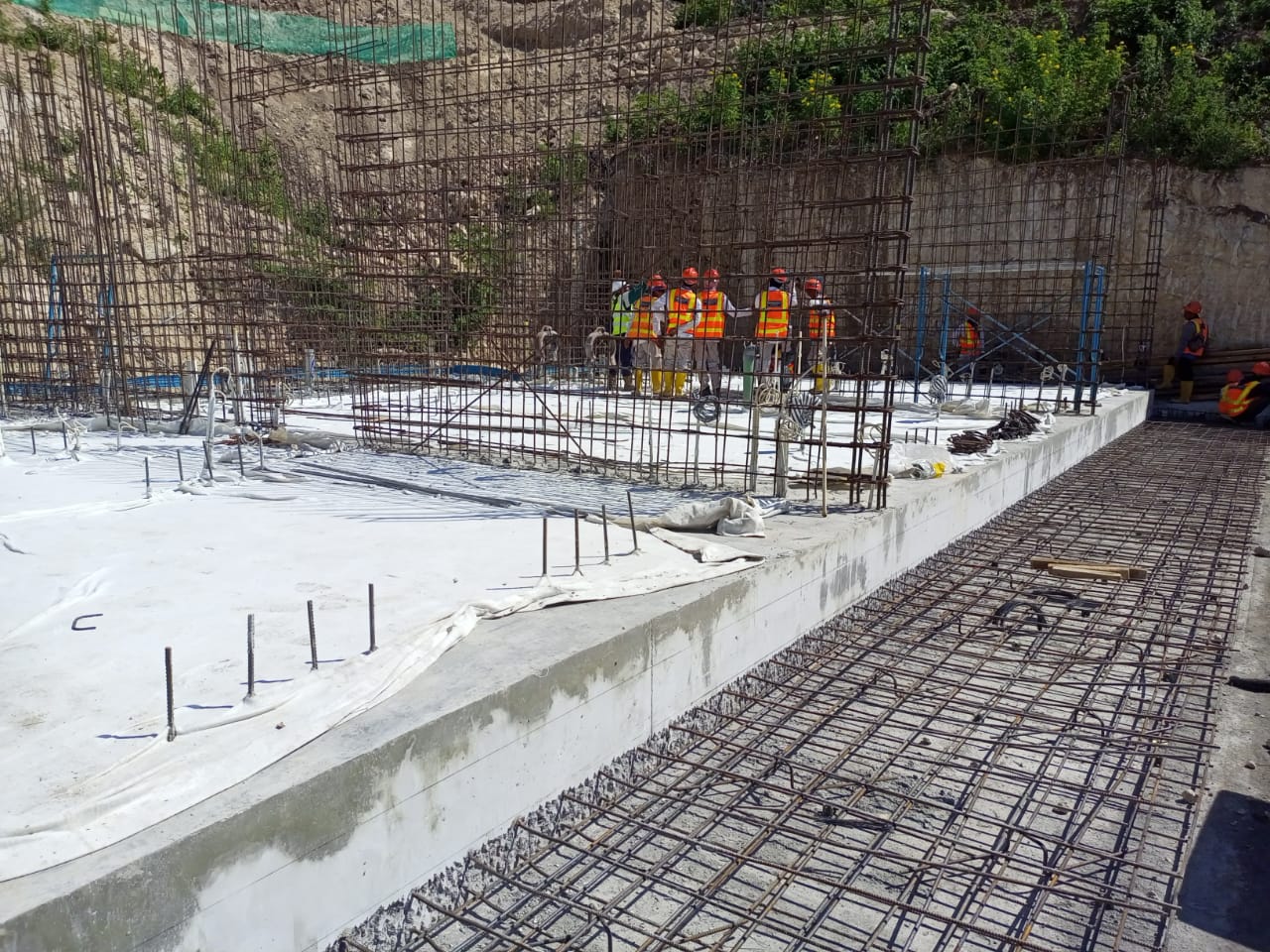 Projek